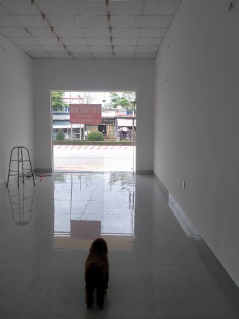 Nhà cho thuê nguyên căn ngay trung tâm thị trấn tân thành, 6246097