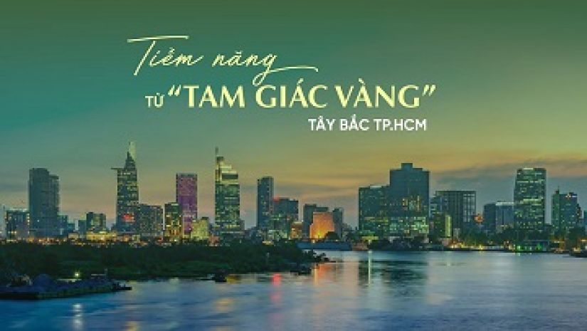 Đất nền đức hòa central - trung tâm tam giác vàng của 6256798