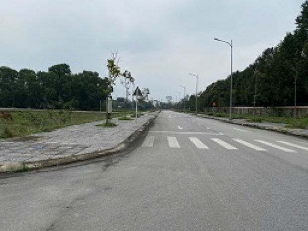 Đất đấu giá nghi ân lô 53 6267733