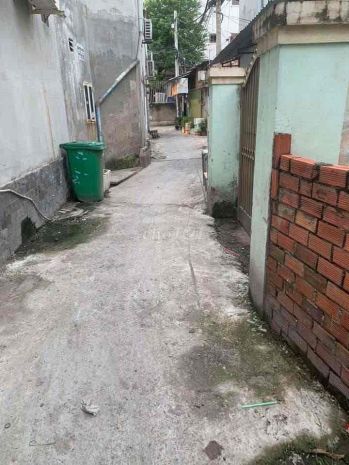 Nhà cho thuê nguyên căn thành phố thủ đức, tp hồ chí minh 6270288