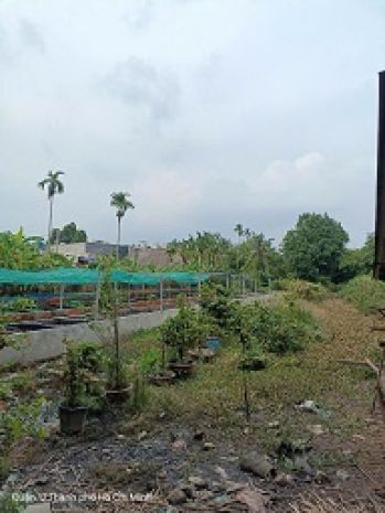 Cần bán gấp lô đất 2337m2 ngay chợ cầu, thạnh xuân 52, 6270335