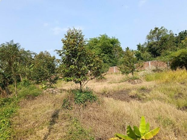 Cần bán đất tại: p. thới an, q. ô môn, tp. cần thơ 6279367