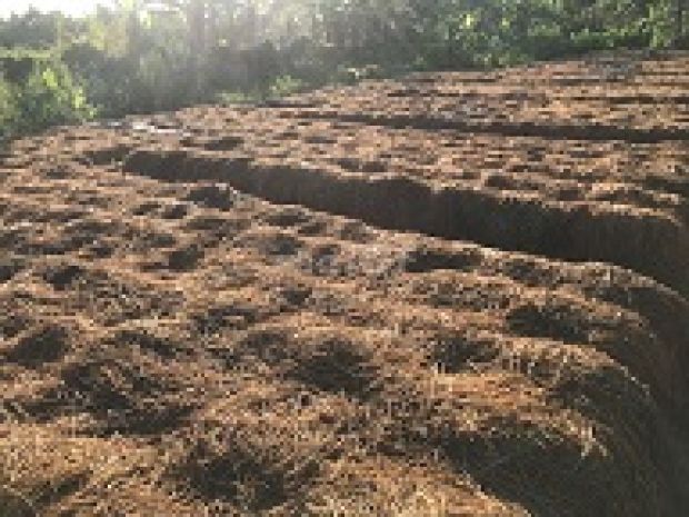 Đất mt đường nhựa 6m nguyễn viết xuân quận bình thuỷ, cần 6294841