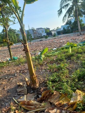 Chính chủ cho thuê mặt bằng 2000m2 tại khu phố hoà long, 6297558