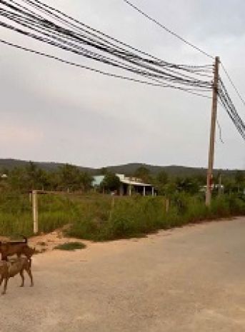 Bán đất giá tốt  sổ hồng riêng 6298292