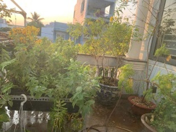 Cần bán nhà mặt tiền đường 79- vành đai 2- phường phước 6310299
