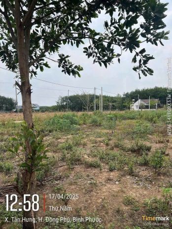 Cơ hội tốt để sở hữu lô đất vị trí đẹp- khả năng sinh lời 6332222