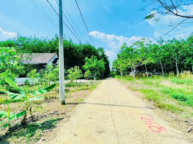 Cơ hội tốt để sở hữu lô đất vị trí đẹp- khả năng sinh lời 6332223