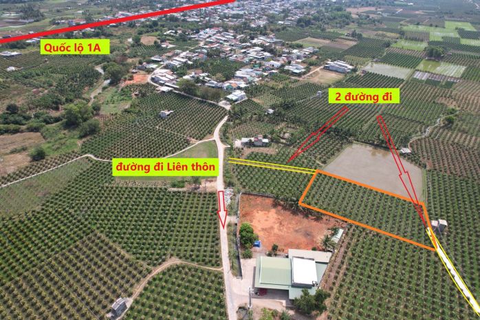 839tr cho 2 mặt tiền với 1875 m2 chợ hợp 5, hàm đức, gần ql 6351357