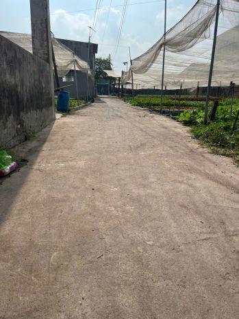 Cần bán nhà đất có sân rộng - trung tâm khu dân cư - đang 6354963