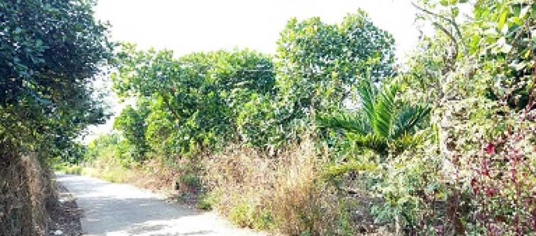 Chính chủ cần bán đất xã xuân thiện, huyện thống nhất, tỉnh 6362526