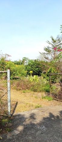 Chính chủ cần bán đất xã xuân thiện, huyện thống nhất, tỉnh 6362528