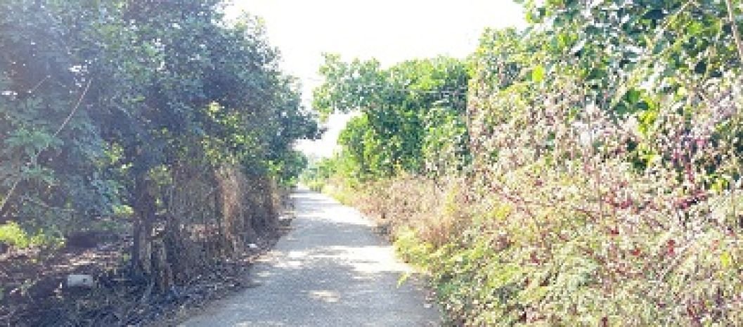 Chính chủ cần bán đất xã xuân thiện, huyện thống nhất, tỉnh 6362529