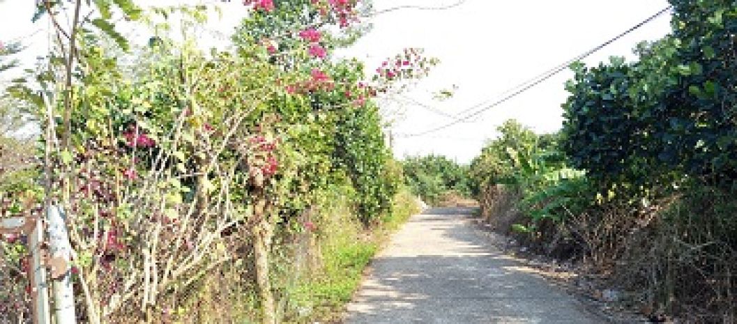 Chính chủ cần bán đất xã xuân thiện, huyện thống nhất, tỉnh 6362530