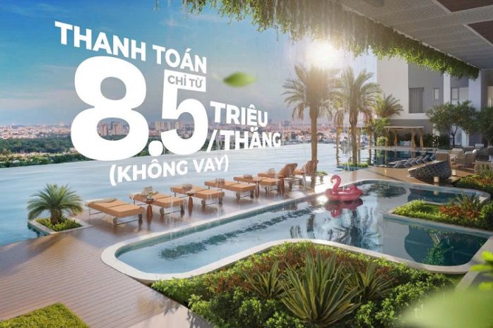 The felix của c-holdings 6377117