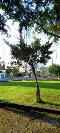 Cho thuê măt băng 220m²  chỉ 7,9 triệutháng! q bình 6384697