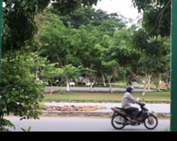Cho thuê măt băng 220m²  chỉ 7,9 triệutháng! q bình 6384699