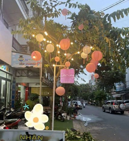 Sang shop hoa mây home decor gần đầu đường lý chính thắng 6388213