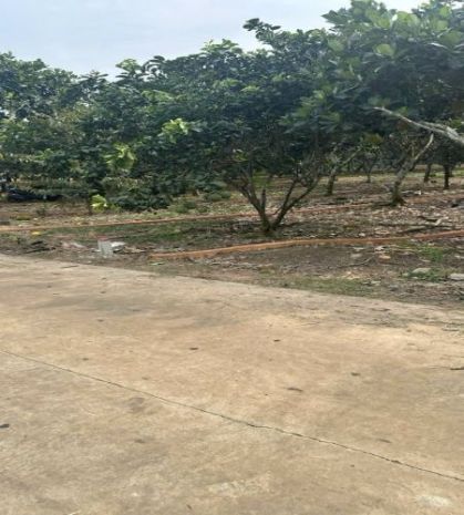 Lô đất vị trí đắc địa, ngay trung tâm khu công nghiệp bình 6396499