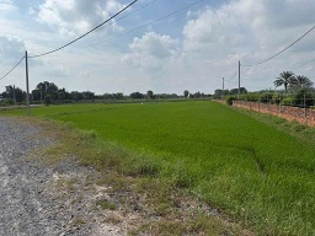 Bán đất nông nghiệp giá tốt  vị trí đẹp  mặt tiền xe tải 6398224