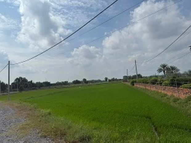 Bán đất nông nghiệp giá tốt  vị trí đẹp  mặt tiền xe tải 6398226