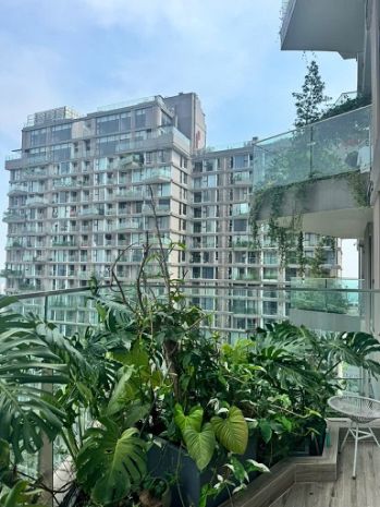 Nhanh tay thuê căn hộ 2 phòng ngủ tại sol forest ecopark, 6399374