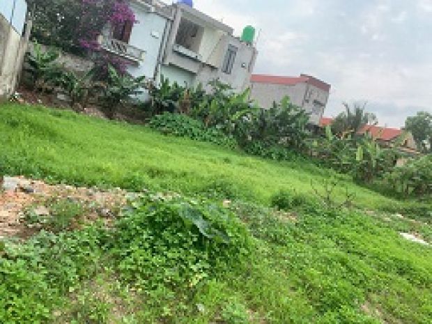 Chính chủ gửi bán 2 bất động sản tại thanh hóa  vị trí 6403573