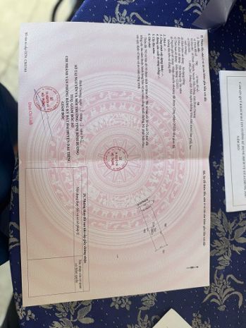 Chính chủ cần bán lô đất giá rẻ tại xã định thành  dầu 6412014