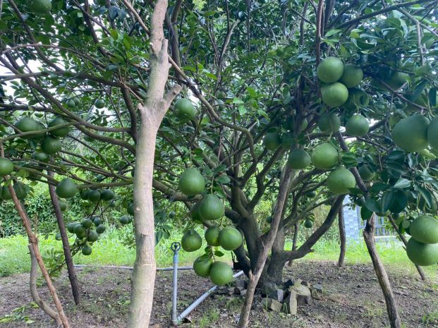 Cần bán lô đất đẹp tại thường tân, huyện bắc tân uyên, bình 6418475