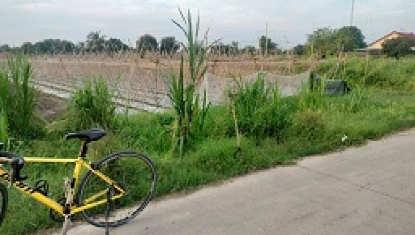 Chính chủ cần chuyển nhượng đất thổ cư tại đức lập hạ 6457560