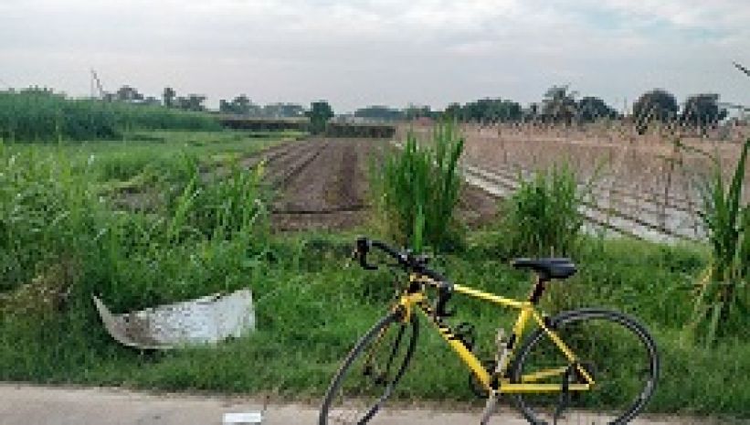 Chính chủ cần chuyển nhượng đất thổ cư tại đức lập hạ 6457562