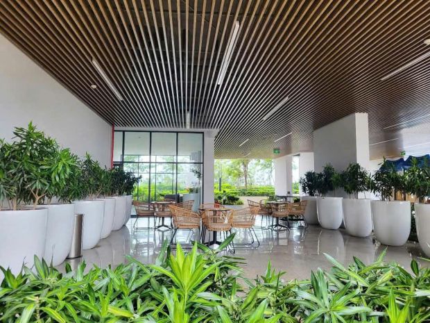 Chính chủ cần bán gấp căn hộ opal skyline tầng 30 ngay 6468039