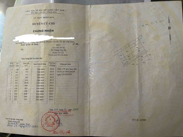 Chính chủ bán đất nông nghiệp mặt tiền tỉnh lộ 7  huyện củ 6487298