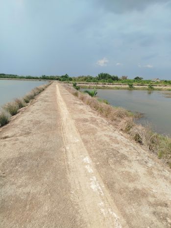 Bán đất chính chủ  gần trung tâm xã an thới đông, cần giờ 6514407