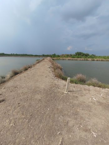 Bán đất chính chủ  gần trung tâm xã an thới đông, cần giờ 6514409