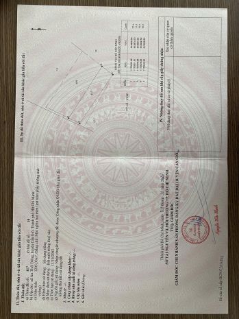 Bán đất chính chủ  gần trung tâm xã an thới đông, cần giờ 6514410