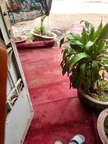 Chính chủ cho thuê nhà nguyên căn  đường thái thị nhạn, 6521656