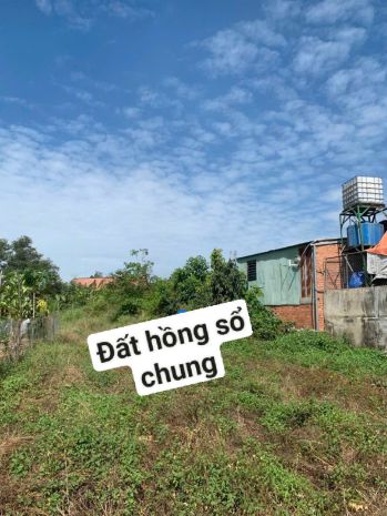 Chính chủ cần bán đất tại trảng bom 6524707