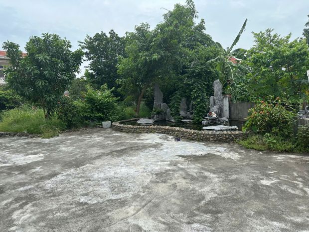 Quỹ đất gần 800m² thổ cư tại ân thi  cơ hội hiếm có trên 6542120