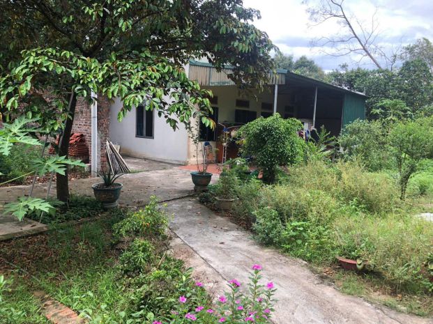 Sở hữu ngay đất đẹp - giá tốt - vị trí đắc địa tại số 10 6590436