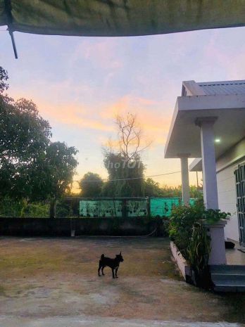 Chính chủ bán đất và nhà - long trường, phường long trường 6590701