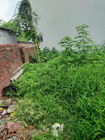 Đất nguyệt áng - đại áng - ô tô vào nhà  - ngõ thông 6591413