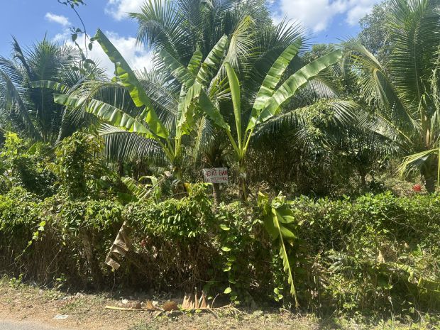 Đất đẹp - giá tốt - bán gấp 1 công đất mặt tiền tại xã an 6593693