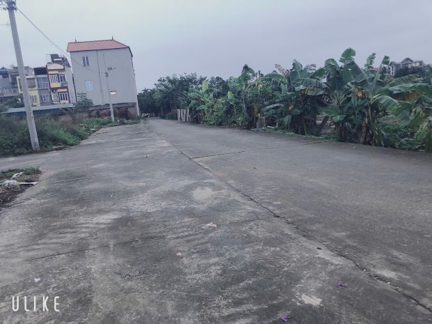 Bán đất 118.8m2 đấu giá x5 lương quy xuân nộn đông anh thư 6593717