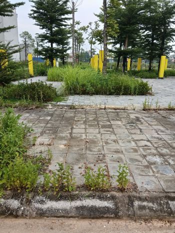 Đất đẹp- đầu tư là sinh lời cần bán nhanh lô đất rùa vàng 6593838