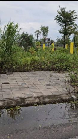 Đất đẹp- đầu tư là sinh lời cần bán nhanh lô đất rùa vàng 6593840