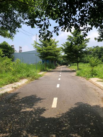 Bán 1 lô đất kdc century market sông trầu 6595023