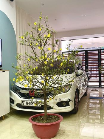 Bán nhà đẹp chính chủ bán  kts thiết kế riêng, full nội 6597845