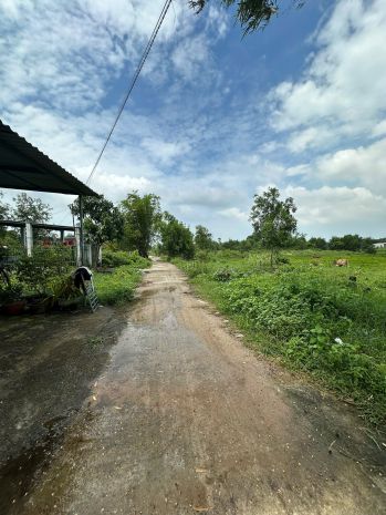 Bán đất thổ cư tân bình, thị xã lagi chỉ 980 triệu đường ô 6601875