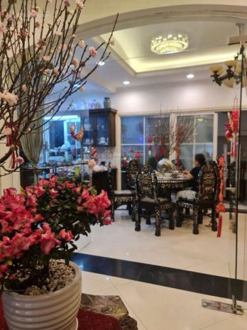 Bán biệt thự cao cấp, 153m2 - 3 tầng 8.5x18m, đường 12m, 6602089